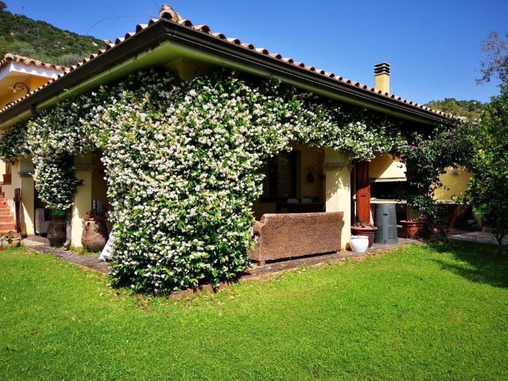 Villa Emilietta 빌라시미우스 외부 사진